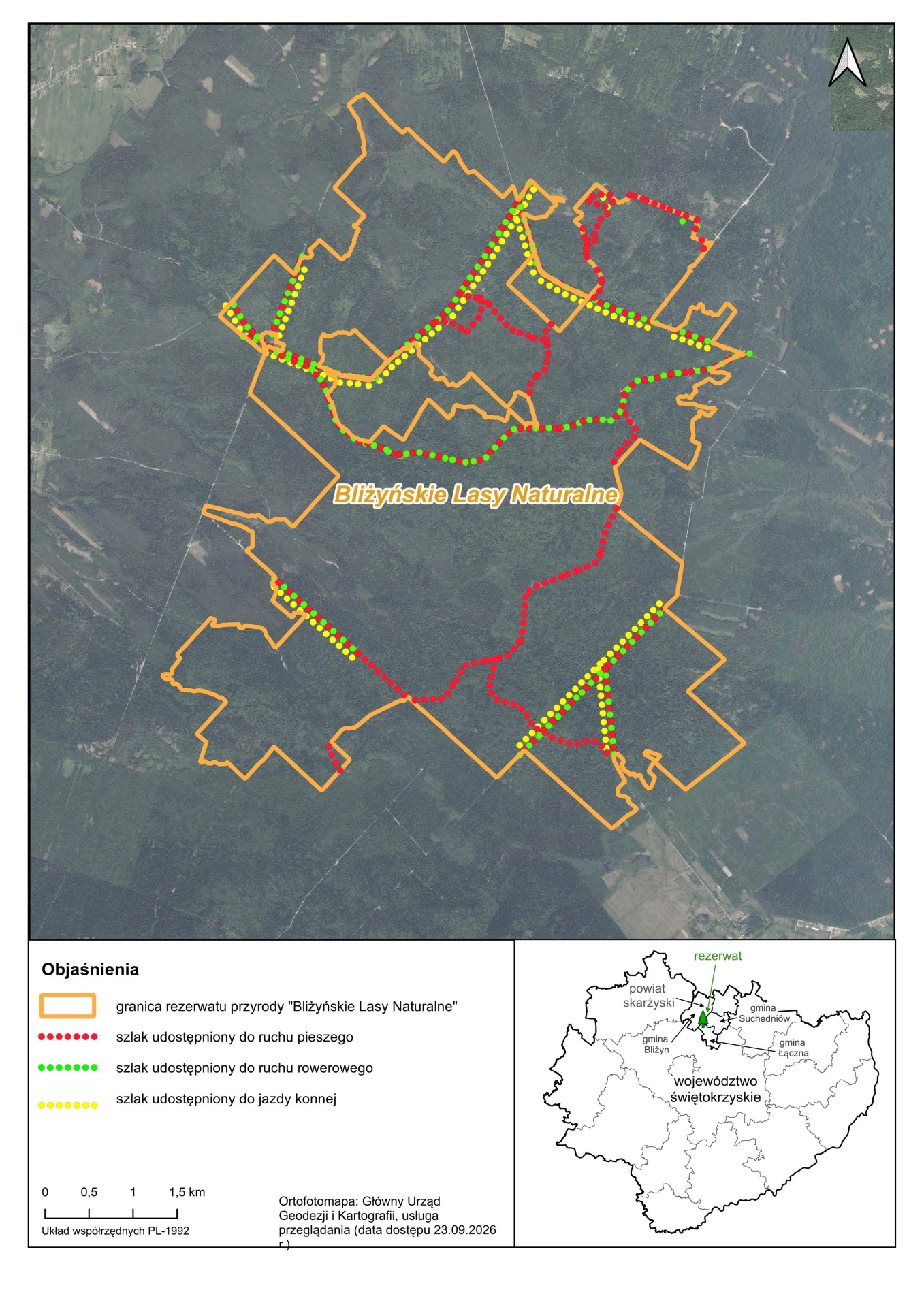Bliżyńskie Lasy Naturalne